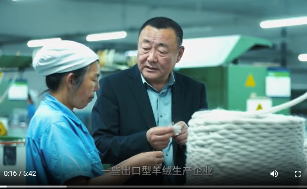 凯妍时尚羊绒：重构羊绒市场价值链条