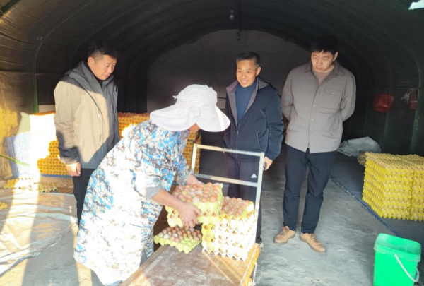 1763977977911397.png 图片2.png